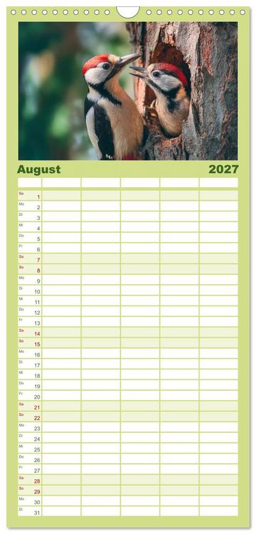 Produktbild: Familienplaner 2027 - Waldgefl&uuml;ster mit 5 Spalten (Wandkalender, 21 x 45 cm) CALVENDO