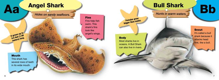 Produktbild: A-Z of Sharks