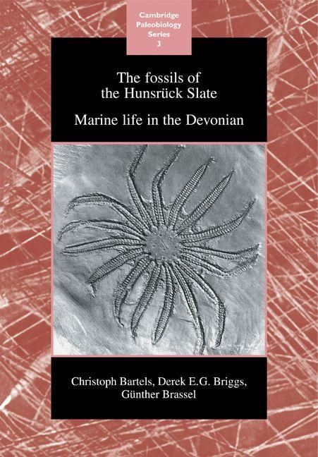 Produktbild: The Fossils of the Hunsruck Slate