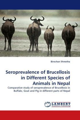 Produktbild: Shrestha, B: Seroprevalence of Brucellosis in Different Spec