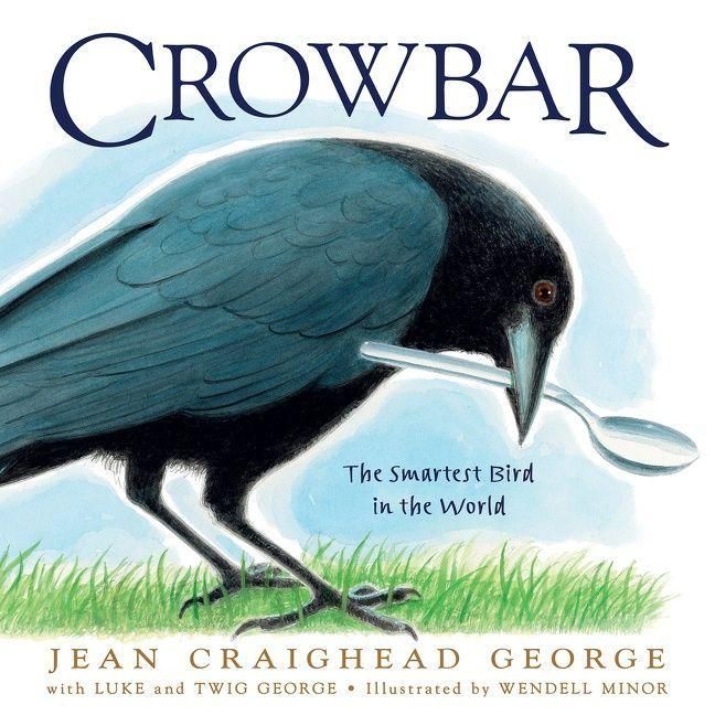 Produktbild: Crowbar