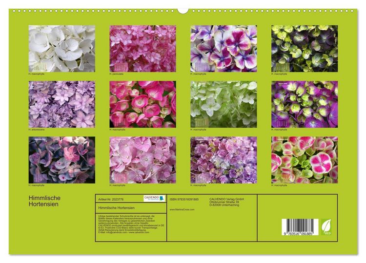 Produktbild: Himmlische Hortensien (hochwertiger Premium Wandkalender 2026 DIN A2 quer), Kunstdruck in Hochglanz