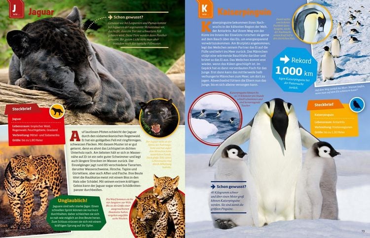 Produktbild: WAS IST WAS Geniale Tiere ... und ihre Tricks