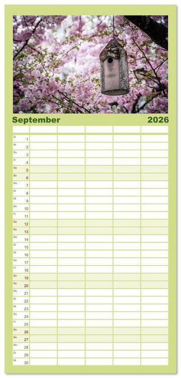 Produktbild: Familienplaner 2026 - Fr&uuml;hlingsbl&uuml;her - Farbenpracht nach dem Winter mit 5 Spalten (Wandkalender, 21 x 45 cm) CALVENDO