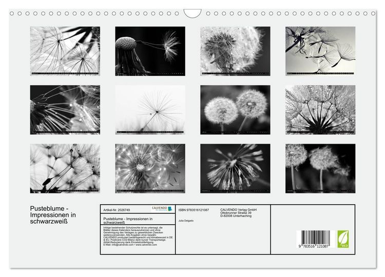 Produktbild: Pusteblume - Impressionen in schwarzwei&szlig; (Wandkalender 2026 DIN A3 quer), CALVENDO Monatskalender
