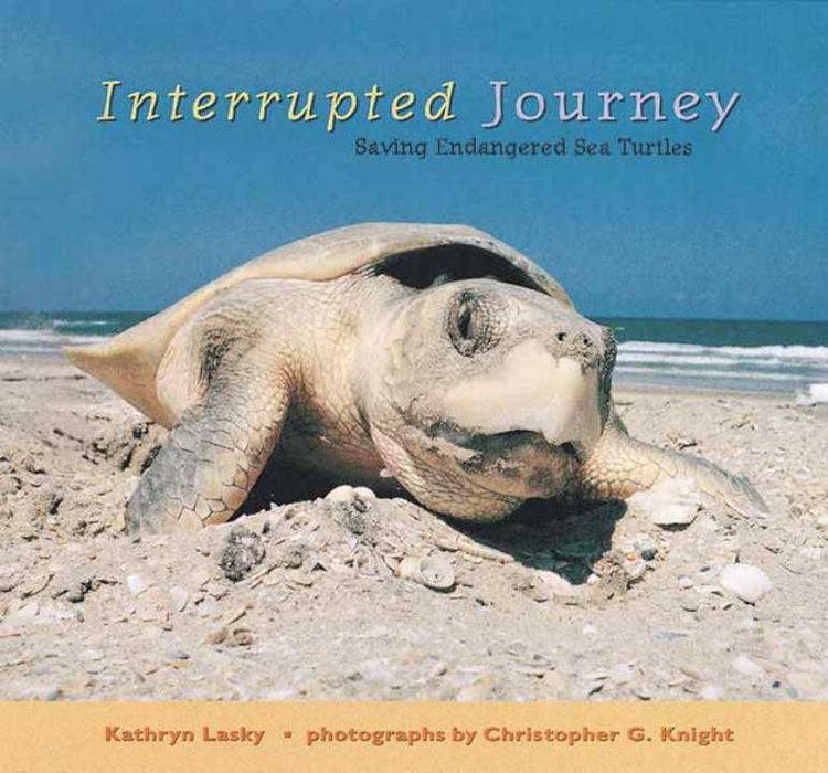 Produktbild: Interrupted Journey