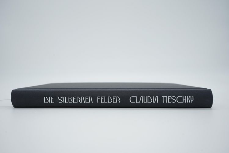 Produktbild: Die silbernen Felder