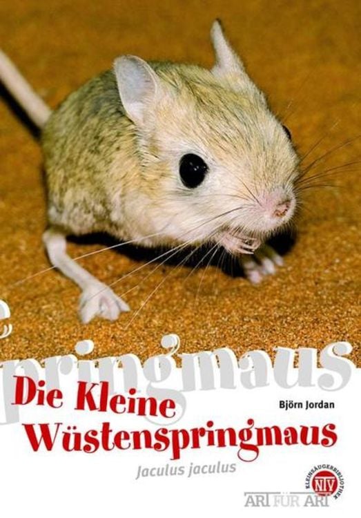 Produktbild: Die Kleine Wüstenspringmaus