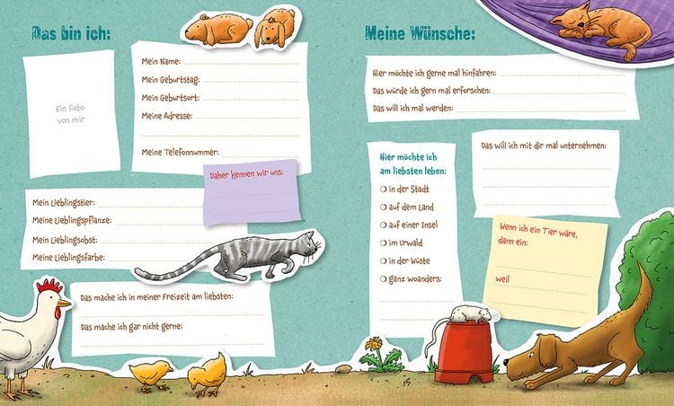 Produktbild: Die Gr&uuml;nen Piraten &ndash; Meine Freunde