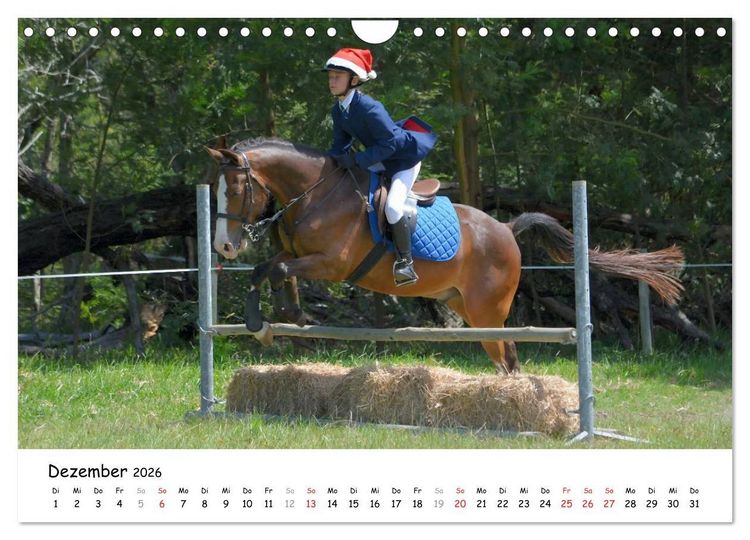 Produktbild: Pony Springreiten (Wandkalender 2026 DIN A4 quer), CALVENDO Monatskalender