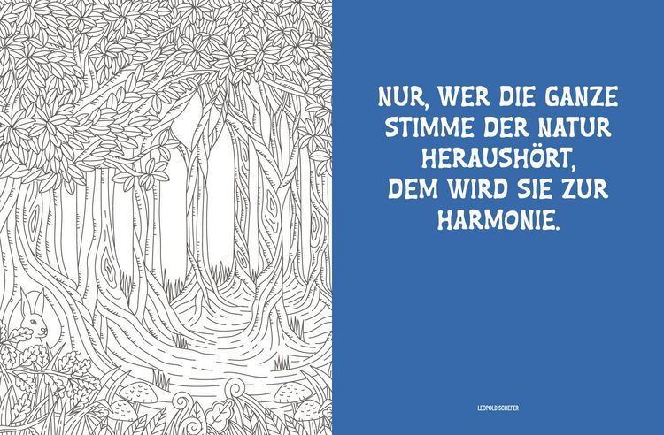 Produktbild: Colorful Mandala &ndash; Mandala &ndash; Spaziergang durch die Natur