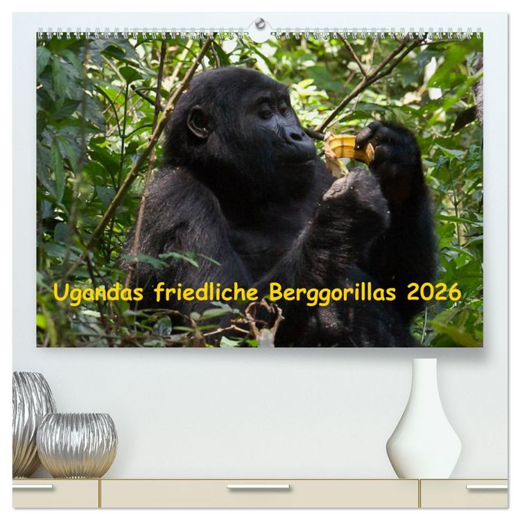 Produktbild: Ugandas friedliche Berggorillas (hochwertiger Premium Wandkalender 2026 DIN A2 quer), Kunstdruck in Hochglanz