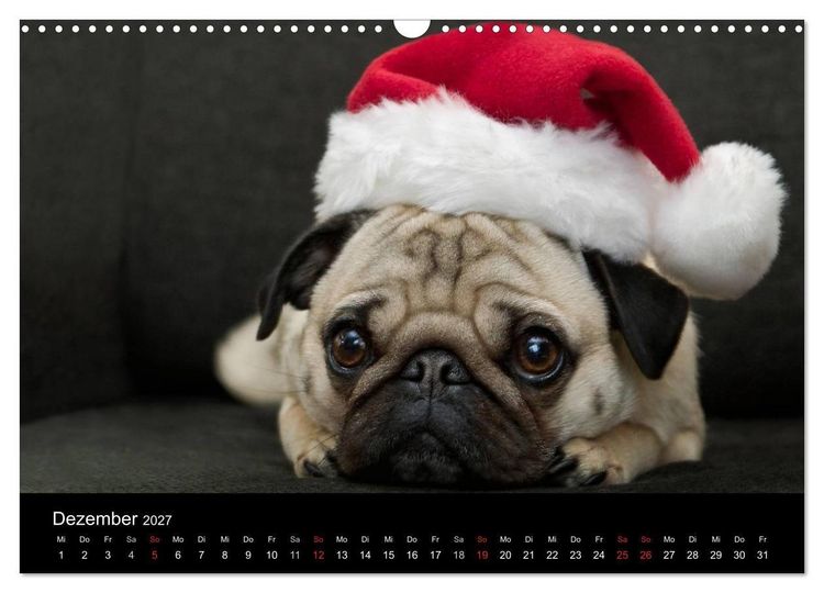 Produktbild: Mops 2027 (Wandkalender 2027 DIN A3 quer), CALVENDO Monatskalender