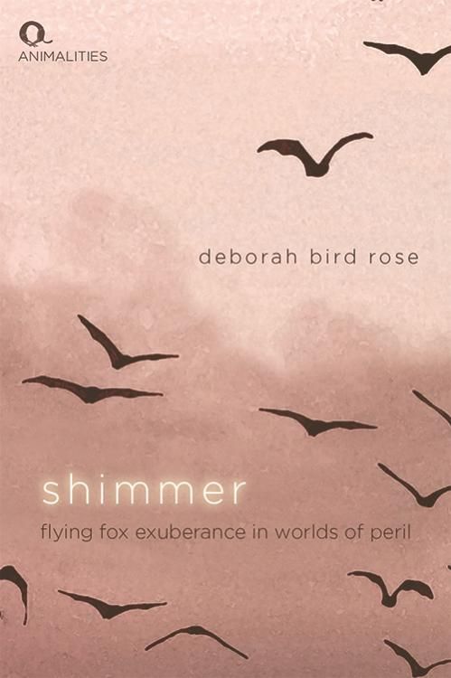 Produktbild: Shimmer
