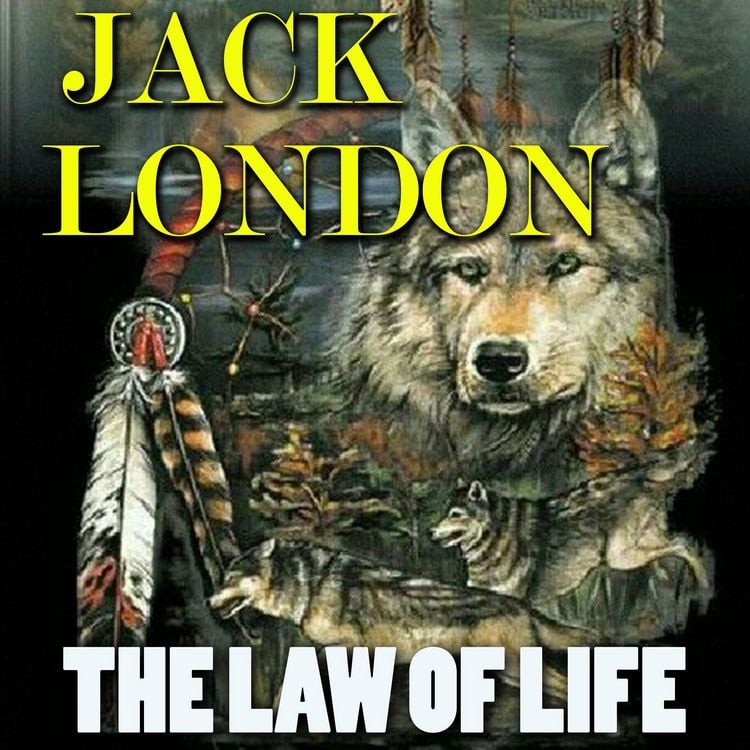 Produktbild: The Law of Life