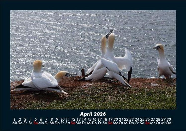 Produktbild: Seeblick 2026 Fotokalender DIN A5