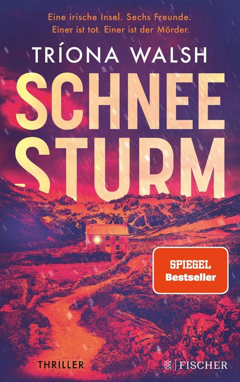 Produktbild: Schneesturm