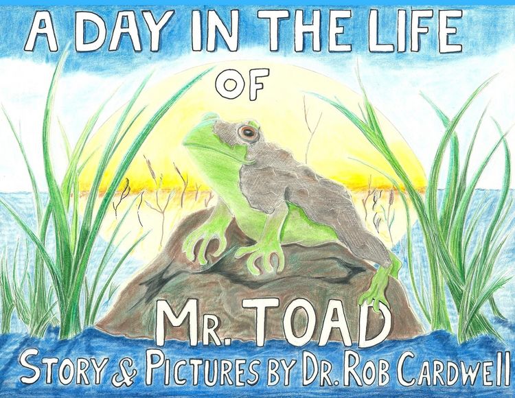 Produktbild: A Day in the Life of Mr. Toad