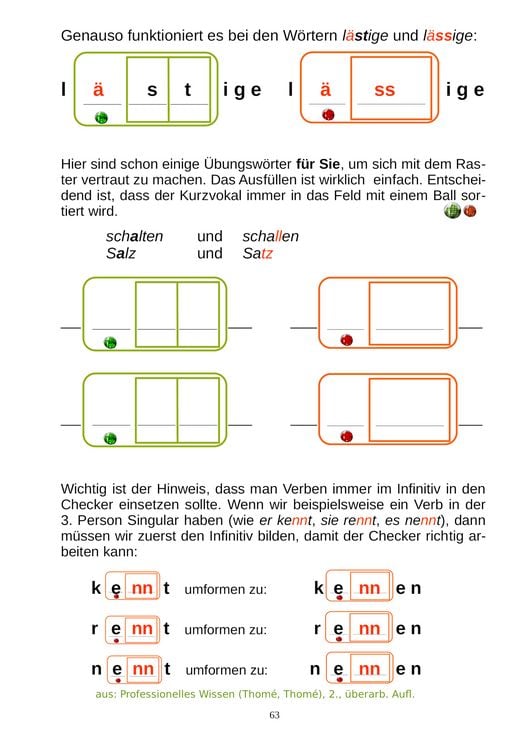 Produktbild: Professionelles Wissen &uuml;ber Rechtschreibung f&uuml;r Schule und F&ouml;rderung