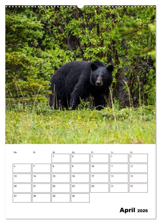 Produktbild: Mein Sch&ouml;nes Kanada (hochwertiger Premium Wandkalender 2026 DIN A2 hoch), Kunstdruck in Hochglanz