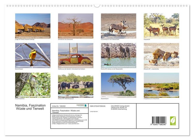 Produktbild: Namibia, Faszination W&uuml;ste und Tierwelt (hochwertiger Premium Wandkalender 2026 DIN A2 quer), Kunstdruck in Hochglanz