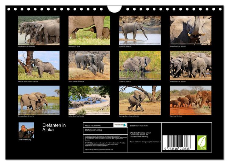 Produktbild: Elefanten in Afrika (Wandkalender 2026 DIN A4 quer), CALVENDO Monatskalender