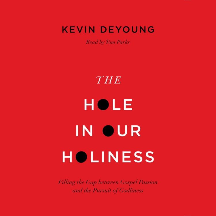 Produktbild: The Hole in Our Holiness