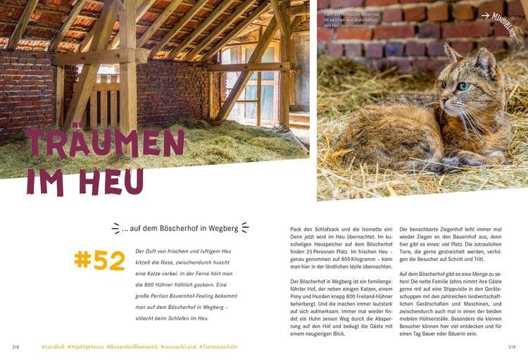 Produktbild: 52 kleine & gro&szlig;e Eskapaden in und um D&uuml;sseldorf