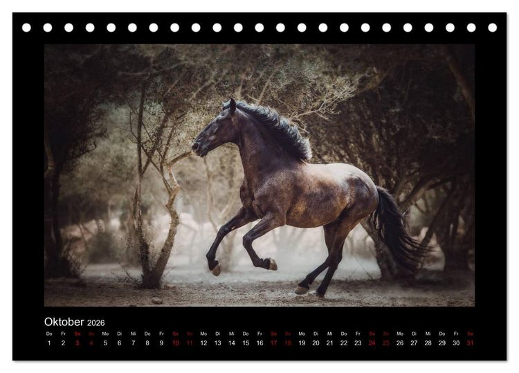Produktbild: Die Faszinierende Welt der Pferde (Tischkalender 2026 DIN A5 quer), CALVENDO Monatskalender