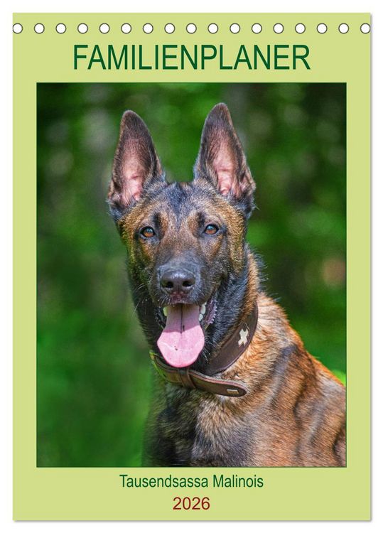 Produktbild: Familienplaner Tausendsassa Malinois (Tischkalender 2026 DIN A5 hoch), CALVENDO Monatskalender