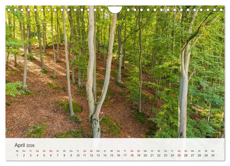 Produktbild: Nat&uuml;rliches R&uuml;gen und Hiddensee (Wandkalender 2026 DIN A4 quer), CALVENDO Monatskalender