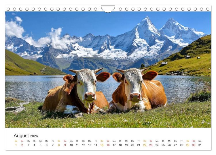 Produktbild: Gl&uuml;ckliche Bergk&uuml;he - Leben auf der Alm (Wandkalender 2026 DIN A4 quer), CALVENDO Monatskalender
