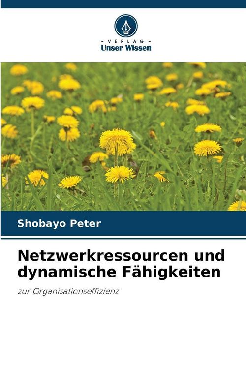 Produktbild: Netzwerkressourcen und dynamische F&auml;higkeiten