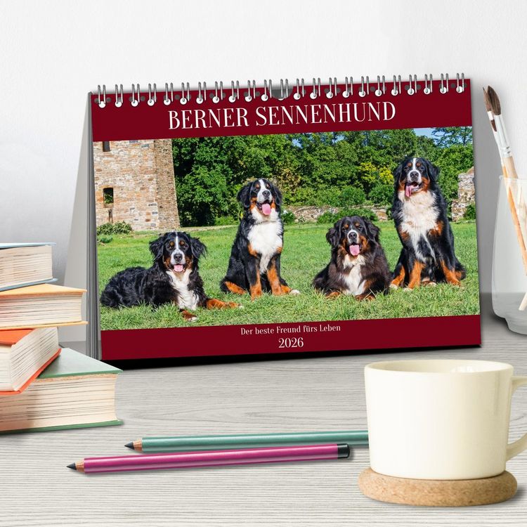 Produktbild: Berner Sennenhund - Der beste Freund f&uuml;rs Leben (Tischkalender 2026 DIN A5 quer), CALVENDO Monatskalender