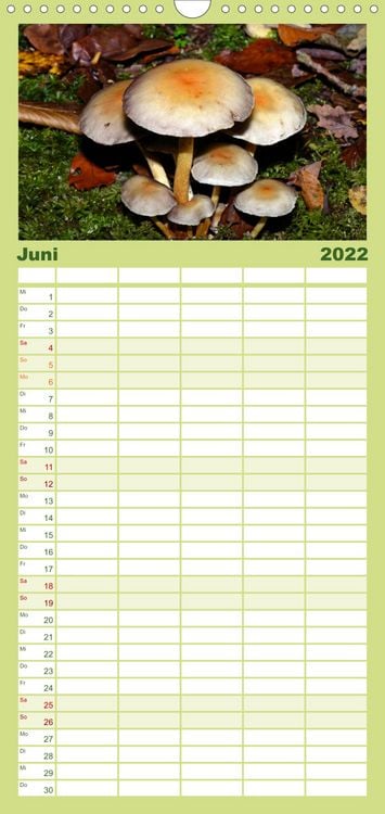 Produktbild: Familienplaner Pilze, Pilze (Wandkalender 2022 , 21 cm x 45 cm, hoch)