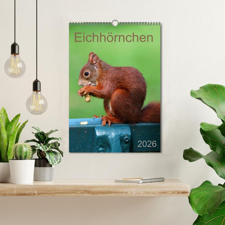 Produktbild: Eichh&ouml;rnchen (Wandkalender 2026 DIN A3 hoch), CALVENDO Monatskalender