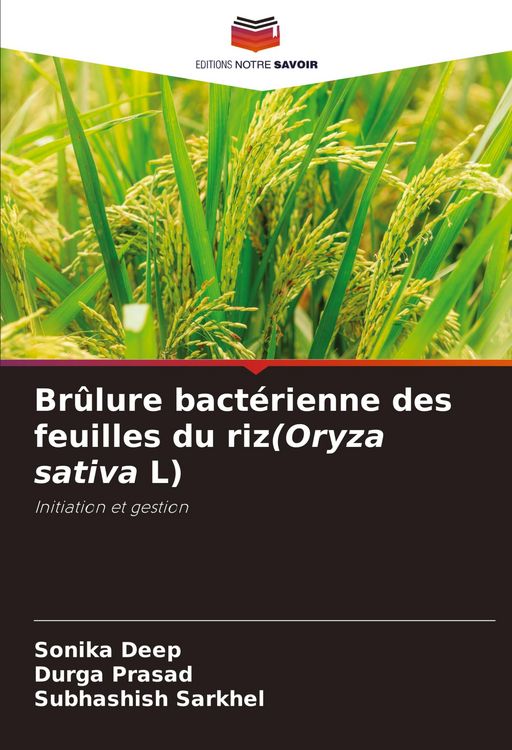 Produktbild: Br&ucirc;lure bact&eacute;rienne des feuilles du riz(Oryza sativa L)
