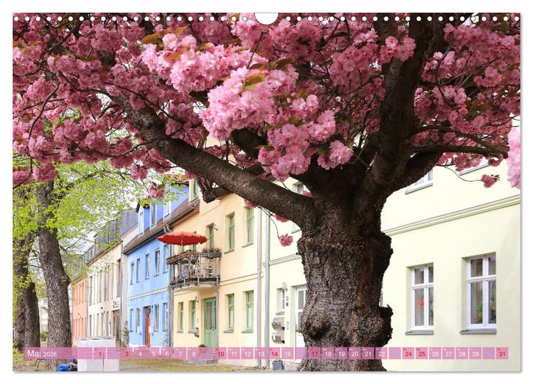 Produktbild: Werder (Havel) - Die Altstadtinsel (Wandkalender 2026 DIN A3 quer), CALVENDO Monatskalender