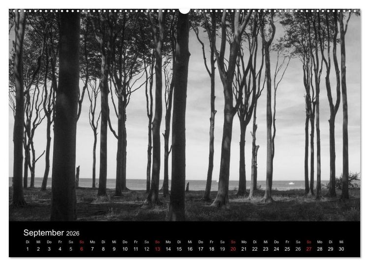 Produktbild: B&auml;ume trees 2026 (hochwertiger Premium Wandkalender 2026 DIN A2 quer), Kunstdruck in Hochglanz