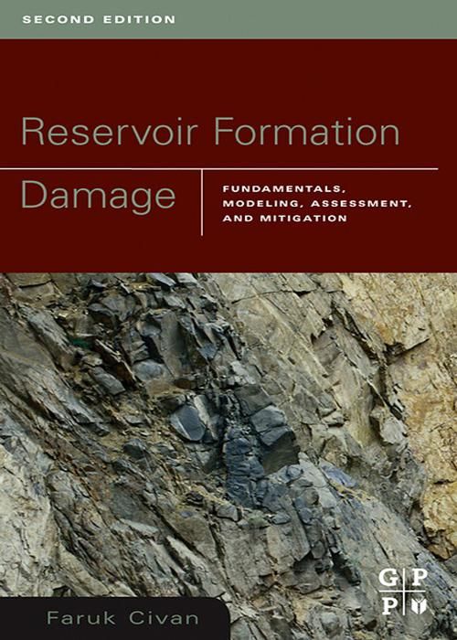 Produktbild: Reservoir Formation Damage