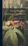Produktbild: From Egg to Tadpole to Frog