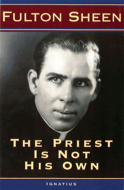 Produktbild: The Priest Is Not His Own