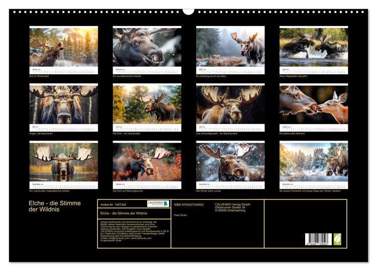 Produktbild: Elche - die Stimme der Wildnis (Wandkalender 2026 DIN A2 quer), CALVENDO Monatskalender
