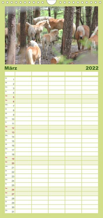 Produktbild: Familienplaner Alpenpferde (Wandkalender 2022 , 21 cm x 45 cm, hoch)