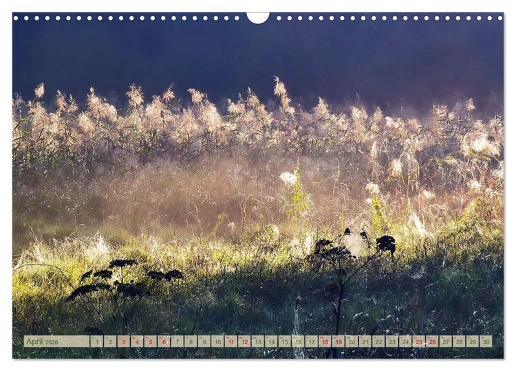 Produktbild: Morgengl&uuml;hen & Nebelschimmer (Wandkalender 2026 DIN A3 quer), CALVENDO Monatskalender