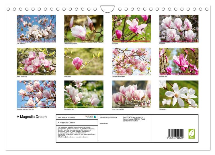 Produktbild: A Magnolia Dream (Wall Calendar 2026 DIN A4 landscape), CALVENDO 12 Month Wall Calendar