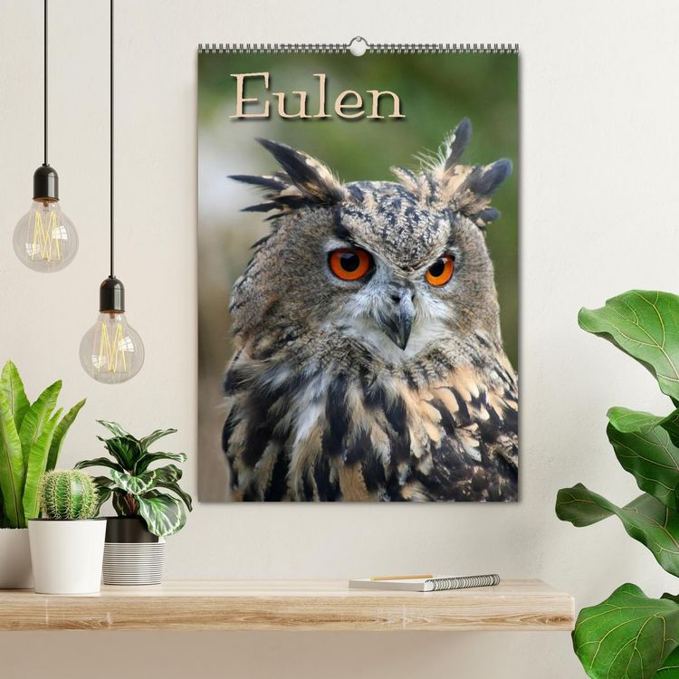 Produktbild: Eulen (Wandkalender 2026 DIN A2 hoch), CALVENDO Monatskalender