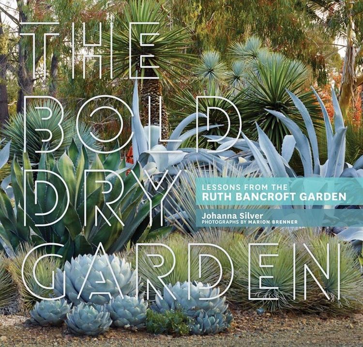 Produktbild: The Bold Dry Garden