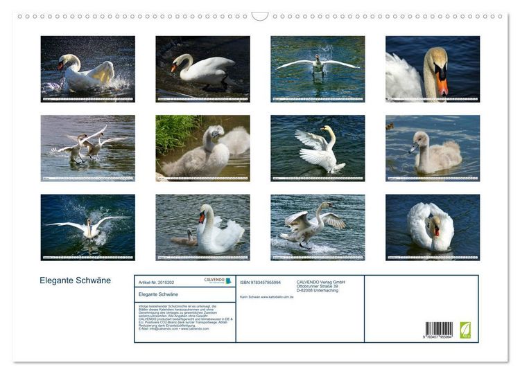 Produktbild: Elegante Schw&auml;ne (Wandkalender 2026 DIN A2 quer), CALVENDO Monatskalender