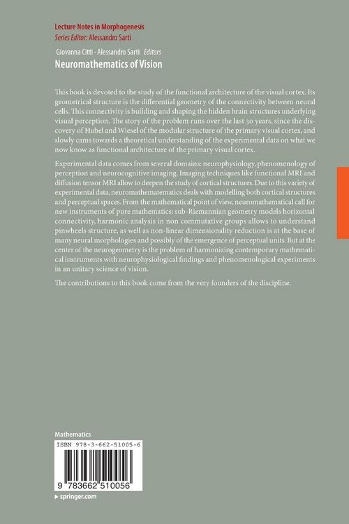 Produktbild: Neuromathematics of Vision
